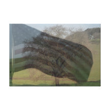 Collage American Flag Oak Tree Stretched Canvas Print