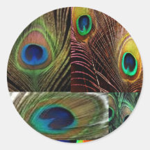 collage de plume de paon adhésif rond