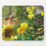 Collage of Nature in Flight