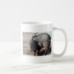 Collared peccary (javelina) coffee mug