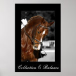 Collection & Balance Posters