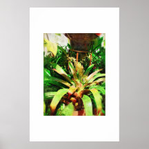 Collection tropicale de peinture à l'huile de Brom Posters