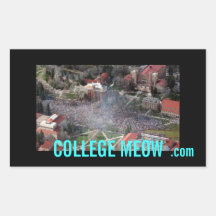 collegemeow.com sticker