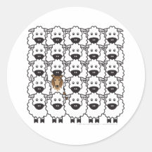 Colley rugueux chez les moutons adhésifs ronds