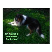collie-day postcard