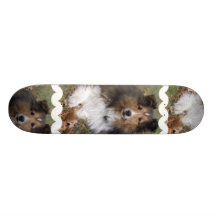 Collie Dog Skateboard