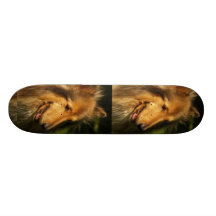 Collie Dog Skateboard