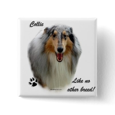 Collie Like No Other Breed by GreyWolfCreation