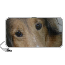 Collie Portable Speakers