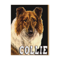 COLLIE PORTRAIT POST CARDS