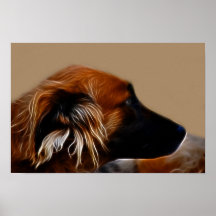 Collie Poster