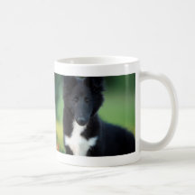 collie, puppy mug