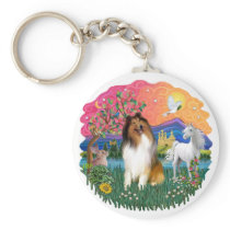 Collie (Sable and white)
