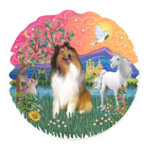Collie (Sable and white)