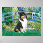 Collie (Tri 3) - Lily Pond Bridge Print