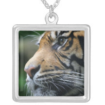 Collier d'argent sterling d'image de tigre