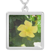 Collier de délicatesse de natures