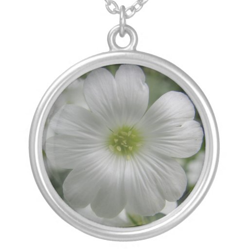 Collier de Gypsophilia