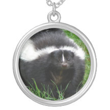 Collier de mouffette