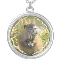 Collier de photo de castor