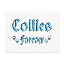 Collies Forever Postcards