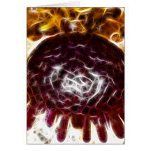 Colobocentrotus Atrata Sea Urchin Greeting Cards