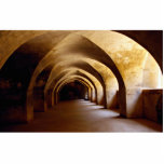 Colonel Bailey's Dungeon, Sriringapatana, India Cut Out