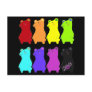 COLOR BEARS