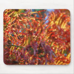 Color Burst Mousepad