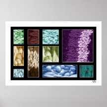 COLOR ILLUSION #08/P PRINT