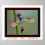 Color My Wings Print