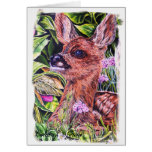 Color of Nature Cards