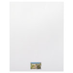 Color picture of beach dune walk Ft. Pierce, FL Custom Letterhead