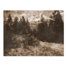 Colorado Artwork Postcard