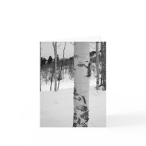 Colorado Aspen Tree Greeting Card