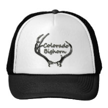 Colorado Big Horn Black & White Hats