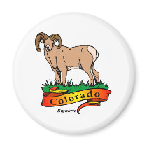 Colorado Bighorn Refrigerator Magnets