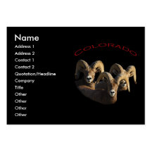 Colorado Business Card
