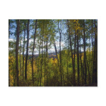 Colorado Colours Postcard