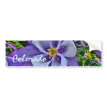 Colorado columbine bumpersticker bumper stickers
