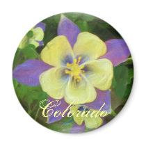 Colorado columbine flower magnet