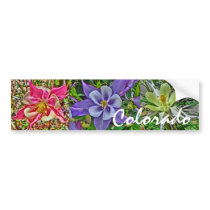 Colorado columbine flowers bumpersticker bumper sticker