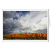 Colorado Fall Foliage Clouds Greeting Cards