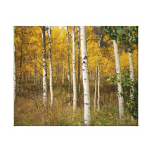 Colorado Fall Wrapped Canvas Gallery Wrap Canvas