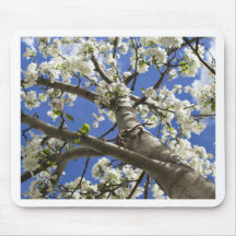 Colorado Flowering Tree Mousepads