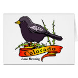 Colorado Lark Bunting Cards