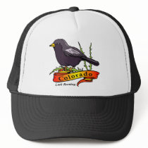 Colorado Lark Bunting Mesh Hat