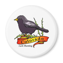 Colorado Lark Bunting Refrigerator Magnet