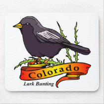 Colorado Lark Bunting Use Pad