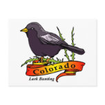 Colorado Lark Bunting Post Cards